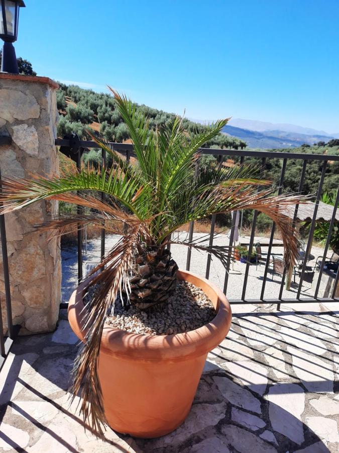 Hacienda La Buena Vida B&B En Appartementen Casita Almendas La Carrera de la Vina Екстер'єр фото