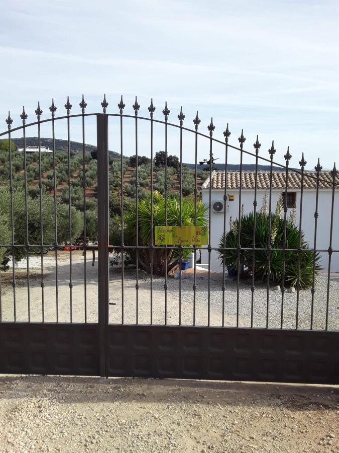 Hacienda La Buena Vida B&B En Appartementen Casita Almendas La Carrera de la Vina Екстер'єр фото